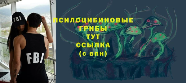 кокс Бородино