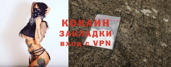 Альфа ПВП Богородск